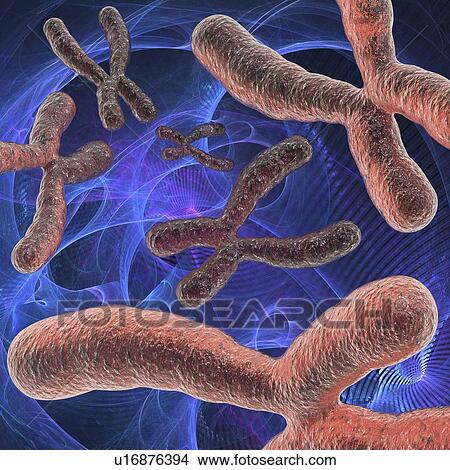 Picture - Genetic research, conceptual artwork. Fotosearch