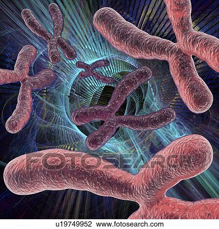 Stock Image - Genetic research, conceptual artwork. Fotosearch