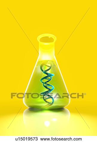 Genetics research, conceptual artwork View Large Photo Image Stock Image - Genetics research, conceptual artwork. Fotosearch