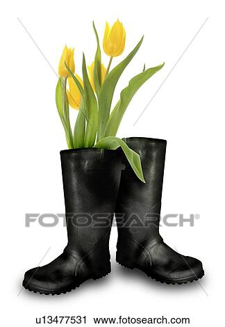 Green living, conceptual artwork View Large Photo Image Stock Image - Green living, conceptual artwork. Fotosearch