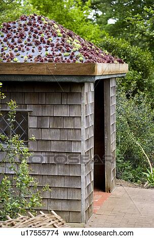 Green roof View Large Photo Image Picture - Green roof. Fotosearch