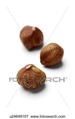 Stock Photo - Hazelnuts. Fotosearch