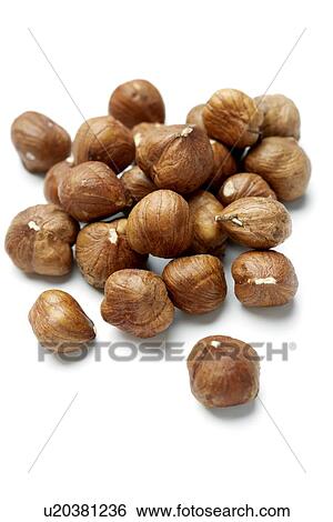 Stock Photograph - Hazelnuts. Fotosearch