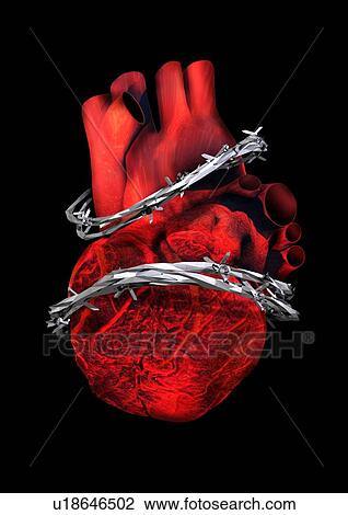 Heart disease, conceptual artwork View Large Photo Image Stock Image - Heart disease, conceptual artwork. Fotosearch