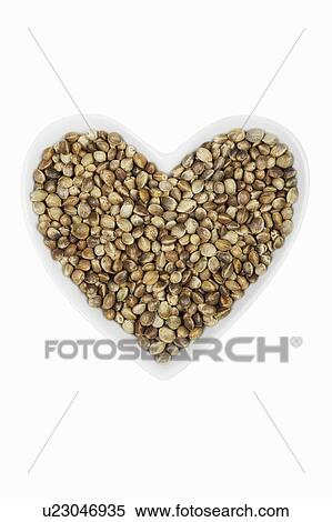 Stock Photography - Hemp seeds. Fotosearch