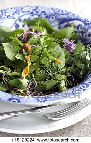 Picture - Herb salad. Fotosearch