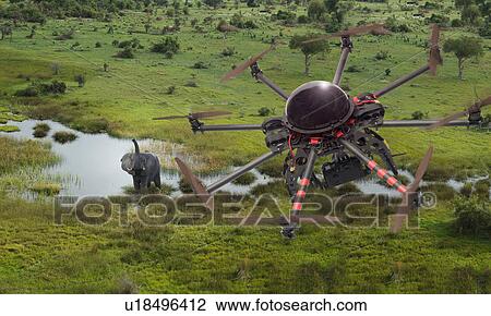 High angle view of drone flying over elephant, Okavango Delta, Botswana View Large Photo Image Stock Image - High angle view of drone flying over elephant, Okavango Delta, Botswana. Fotosearch