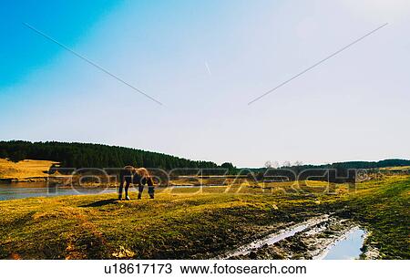 Horse grazing by river View Large Photo Image Stock Image - Horse grazing by river. Fotosearch