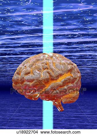 Picture - Human brain, artwork. Fotosearch