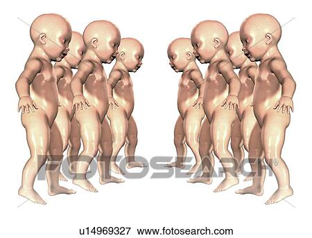 Human cloning, artwork View Large Photo Image Stock Photo - Human cloning, artwork. Fotosearch