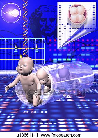 Stock Image - Human cloning, conceptual artwork. Fotosearch