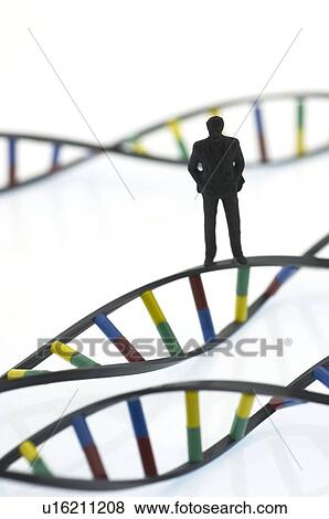 Human genome, conceptual image View Large Photo Image Stock Photo - Human genome, conceptual image. Fotosearch