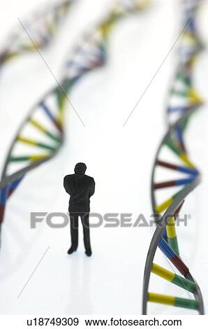 Stock Photo - Human genome, conceptual image. Fotosearch
