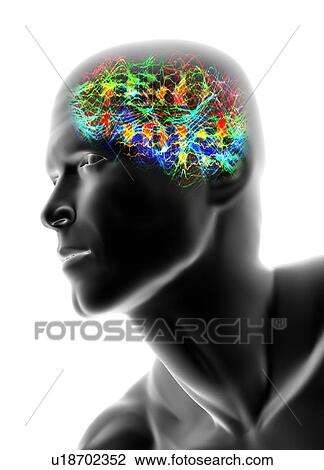 Stock Image - Human head with brainwaves. Fotosearch