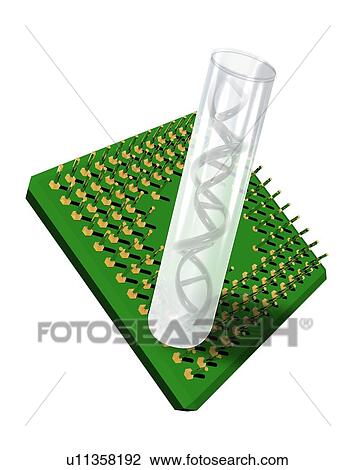 Lab-on-a-chip, conceptual artwork View Large Photo Image Stock Image - Lab-on-a-chip, conceptual artwork. Fotosearch