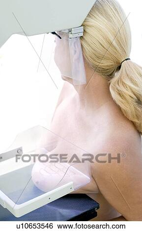 Mammography View Large Photo Image Stock Photograph - Mammography. Fotosearch