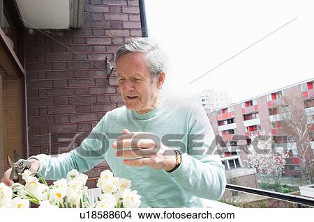 Picture - Man gardening on balcony. Fotosearch