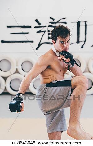 Stock Photography - Man in gym wearing boxing gloves in kickboxing stance looking at camera. Fotosearch
