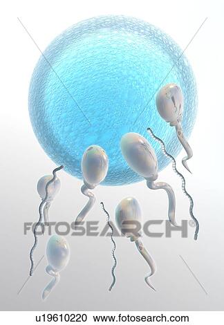 Medical nanorobots, artwork View Large Photo Image Stock Image - Medical nanorobots, artwork. Fotosearch