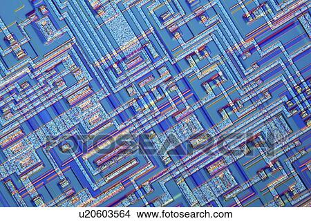 Picture - Microchip, light micrograph. Fotosearch