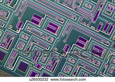 Stock Image - Microchip, light micrograph. Fotosearch
