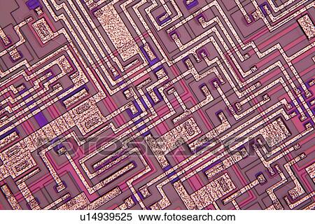 Stock Photography - Microchip, light micrograph. Fotosearch