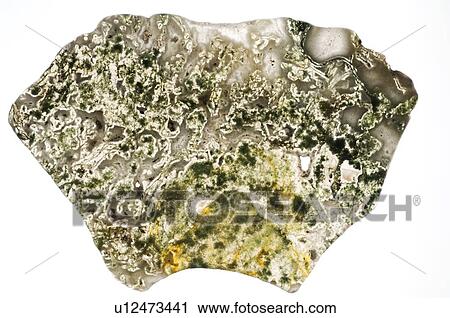 Moss agate View Large Photo Image Stock Image - Moss agate. Fotosearch