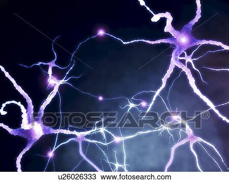 Stock Image - Neural network, computer artwork. Fotosearch