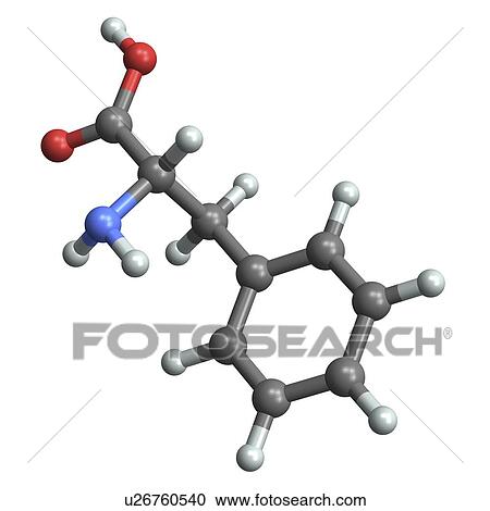 Stock Image - Phenylalanine, molecular model. Fotosearch
