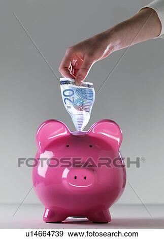 Piggy bank with euros View Large Photo Image Stock Photo - Piggy bank with euros. Fotosearch