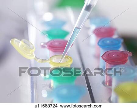 Pipetting View Large Photo Image Picture - Pipetting. Fotosearch