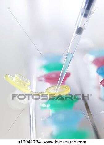 Pipetting View Large Photo Image Picture - Pipetting. Fotosearch