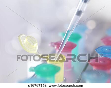 Pipetting View Large Photo Image Stock Photo - Pipetting. Fotosearch