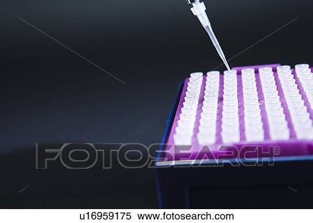 Pipetting View Large Photo Image Stock Photography - Pipetting. Fotosearch