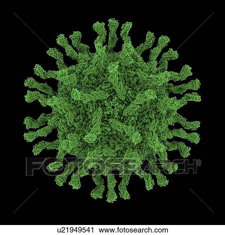 Stock Image - Poliovirus particle. Fotosearch