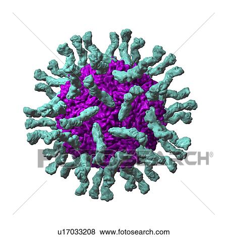 Stock Photo - Poliovirus particle. Fotosearch
