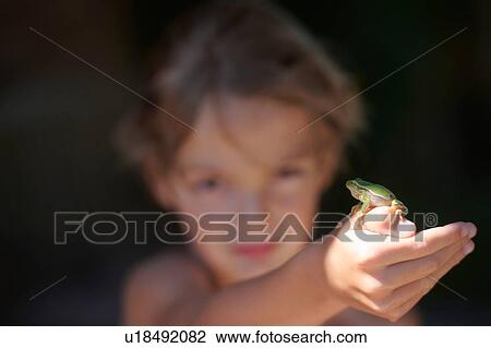 Portrait of boy holding up frog on hand, Buonconvento, Tuscany, Italy View Large Photo Image Stock Image - Portrait of boy holding up frog on hand, Buonconvento, Tuscany, Italy. Fotosearch