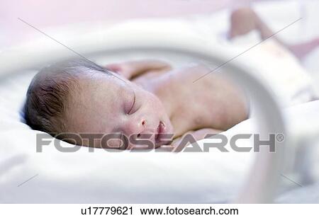 Premature baby View Large Photo Image Stock Image - Premature baby. Fotosearch