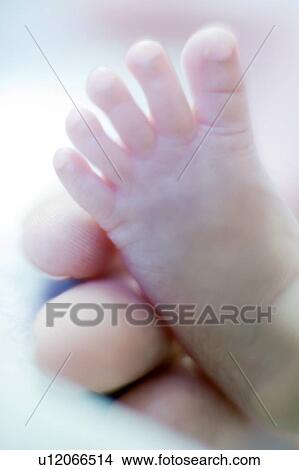 Picture - Premature baby's foot. Fotosearch