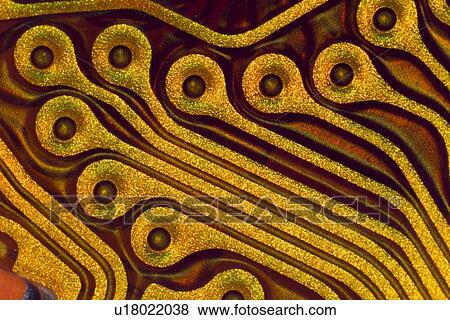 Stock Photo - Printed circuit, macrophotograph. Fotosearch