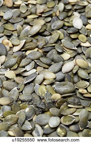 Stock Image - Pumpkin seeds. Fotosearch