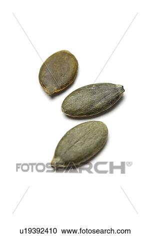 Pumpkin seeds View Large Photo Image Stock Image - Pumpkin seeds. Fotosearch