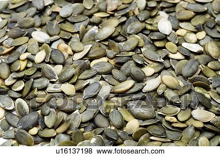 Pumpkin seeds View Large Photo Image Stock Photo - Pumpkin seeds. Fotosearch