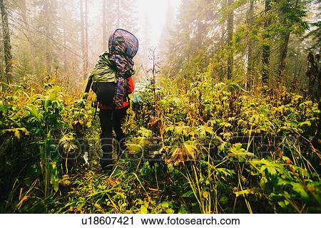 Rear view of hiker carrying backpack and guitar in forest View Large Photo Image Stock Image - Rear view of hiker carrying backpack and guitar in forest. Fotosearch