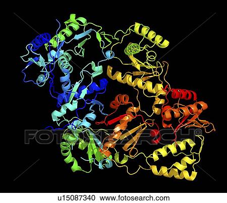 Stock Image - Reverse transcriptase and inhibitor. Fotosearch