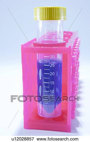 Stock Photo - Sample tube in a rack. Fotosearch