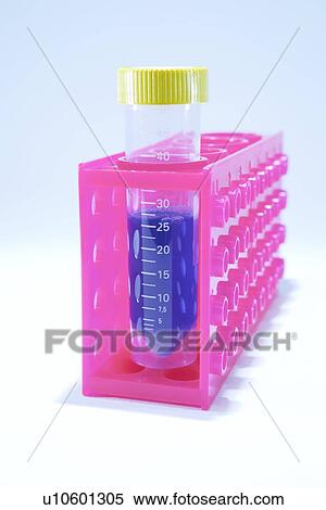 Stock Photography - Sample tube in a rack. Fotosearch