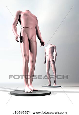 Spare body parts, conceptual artwork View Large Photo Image Picture - Spare body parts, conceptual artwork. Fotosearch