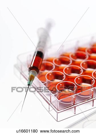 Stem cell research View Large Photo Image Stock Image - Stem cell research. Fotosearch