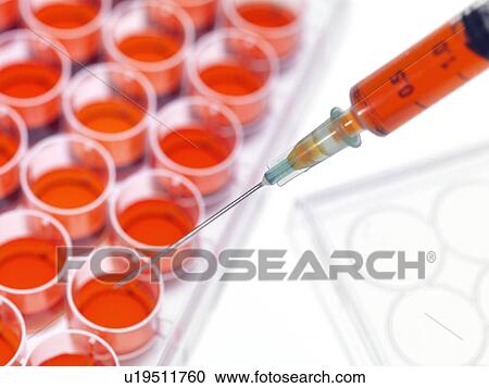 Stock Image - Stem cell research. Fotosearch